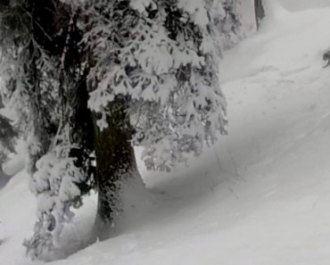 snowleopard2
