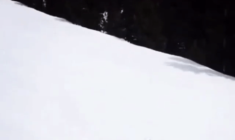 Skier Sliding Down A Hill