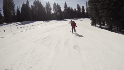 Skiers Crashing In Tandem