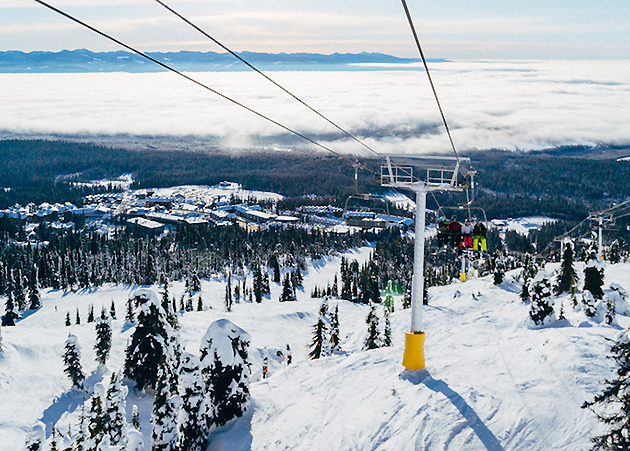 Big White Falcon Chair